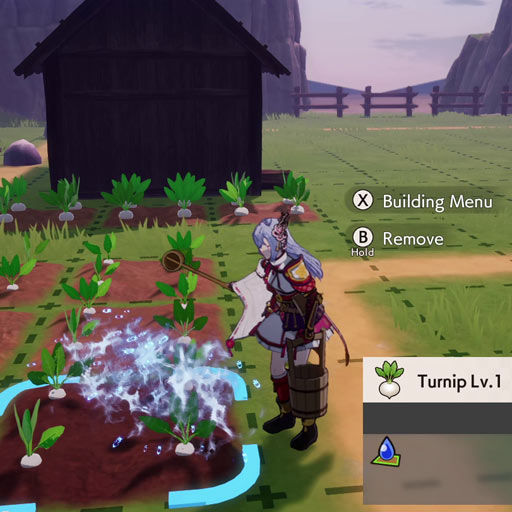 Growing Crops
