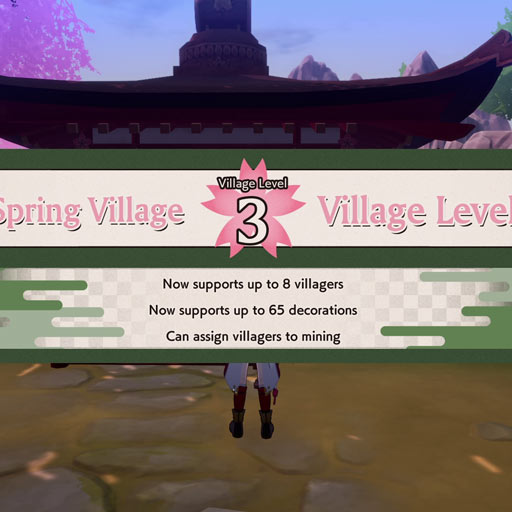 Village Levels